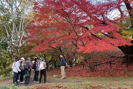 飛鳥地域(日本語)プロガイド
