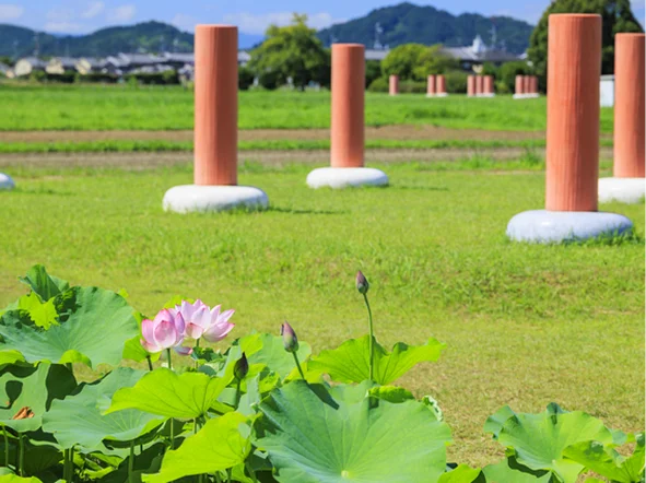 藤原宮跡
