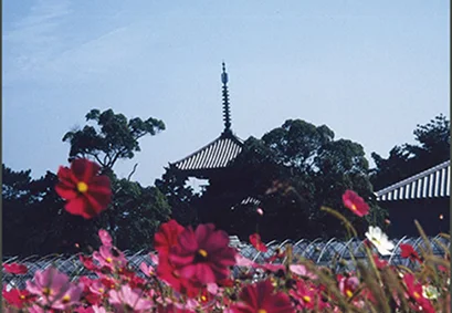 法隆寺地域の仏教建造物
