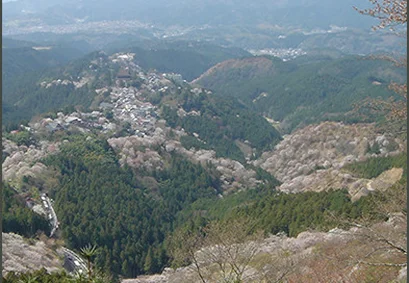 紀伊山地の霊場と参詣道