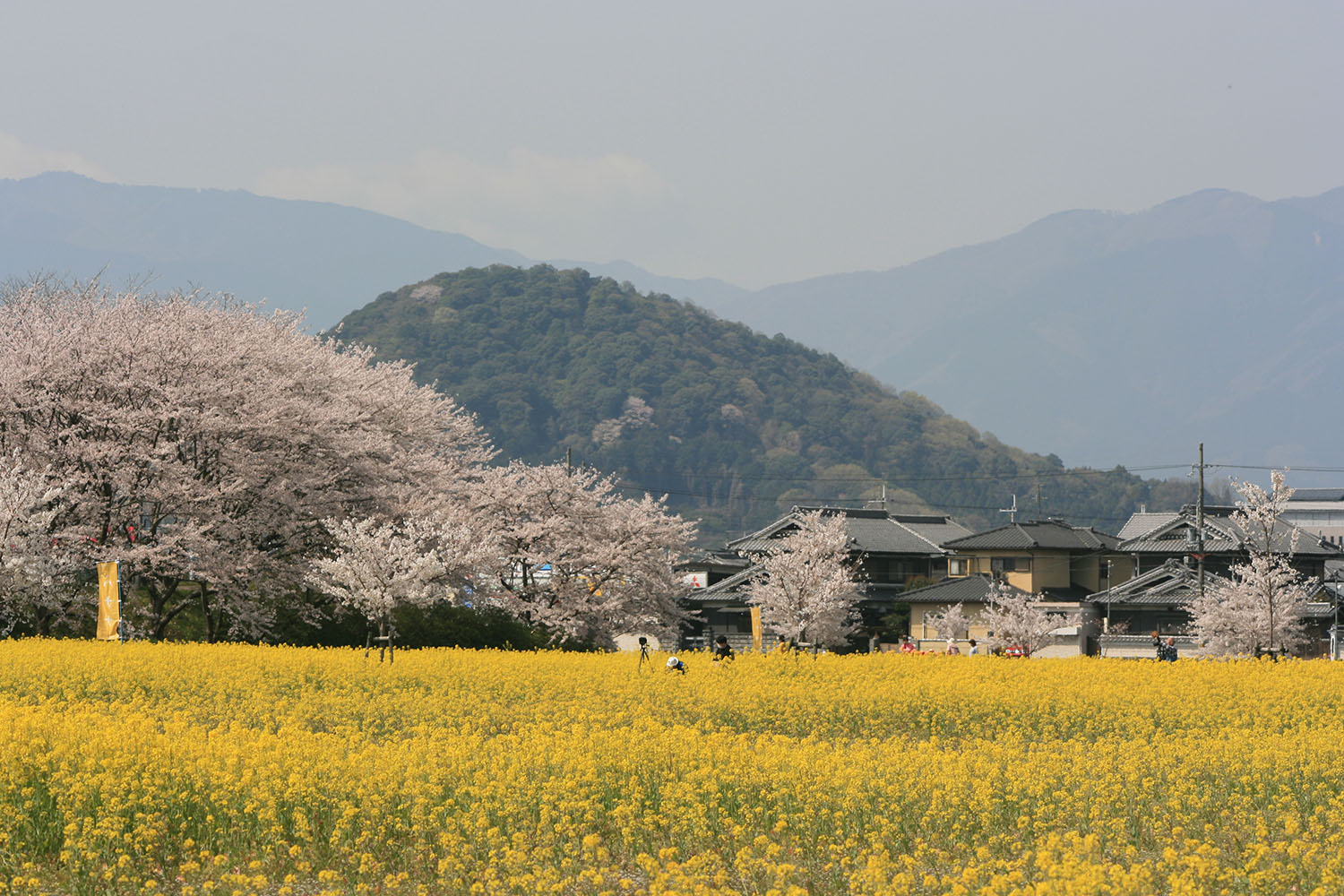 世界遺産