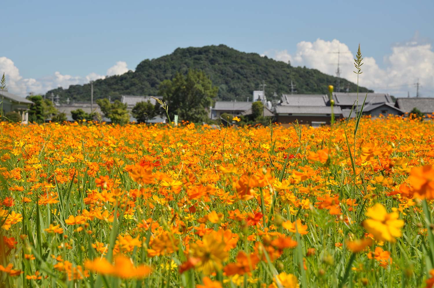 世界遺産